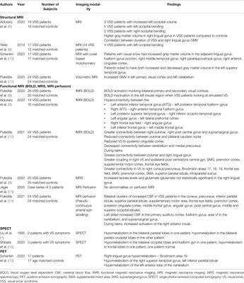 Neuroimaging in Visual Snow - A Review of the Literature